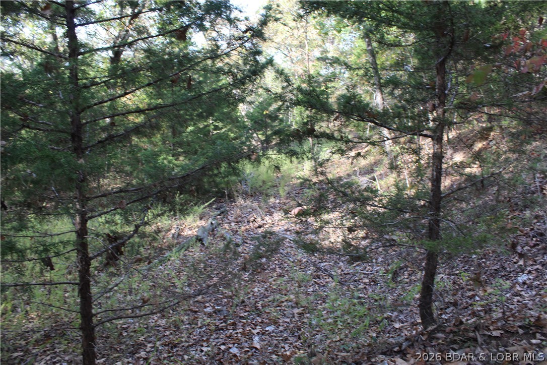 Photo 20