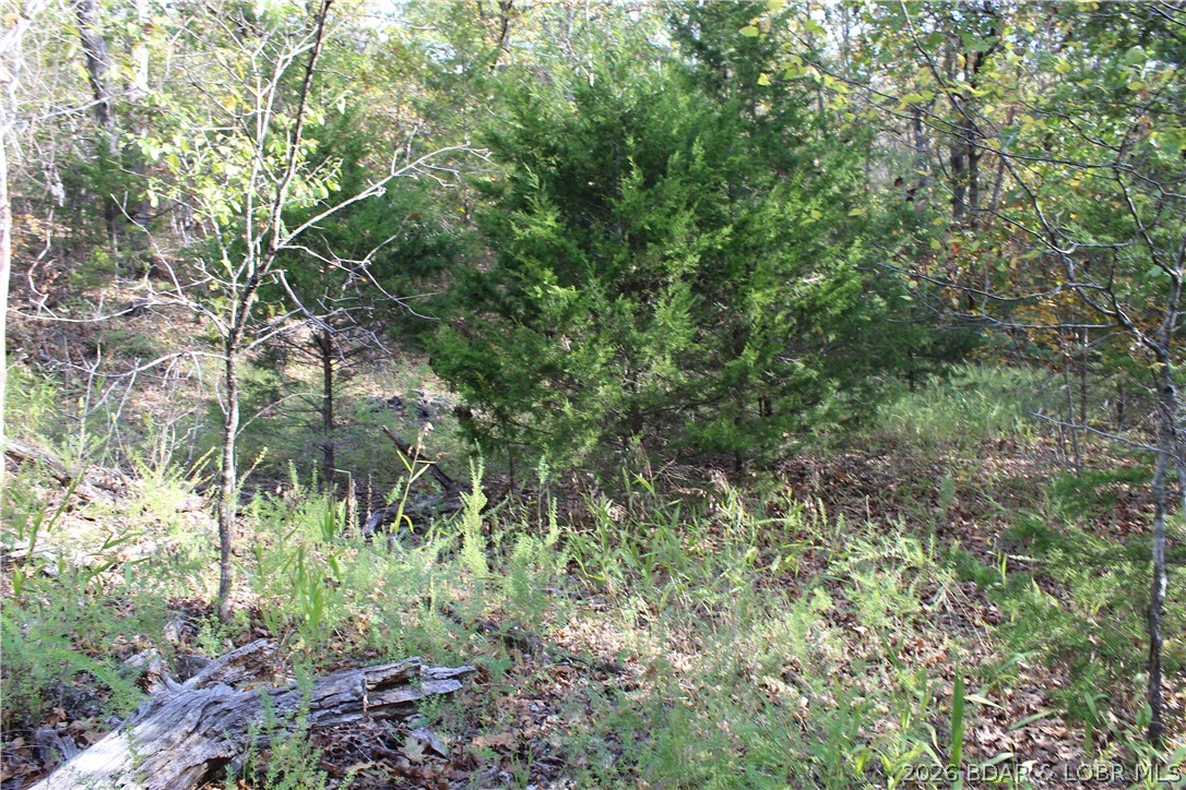 Photo 23