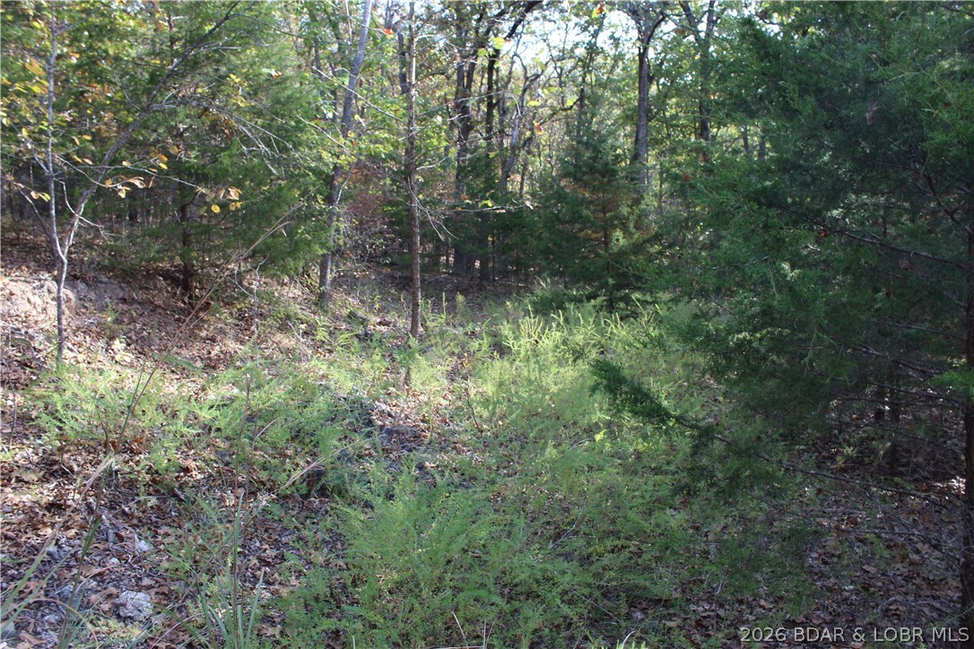 Photo 24