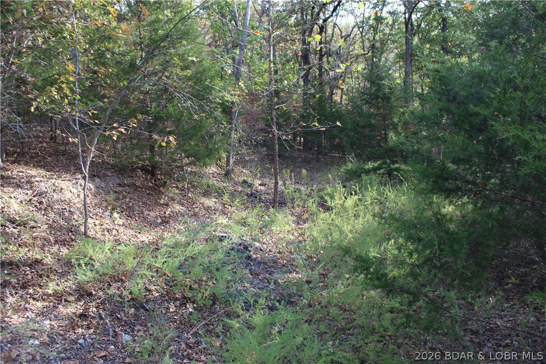 Photo 25