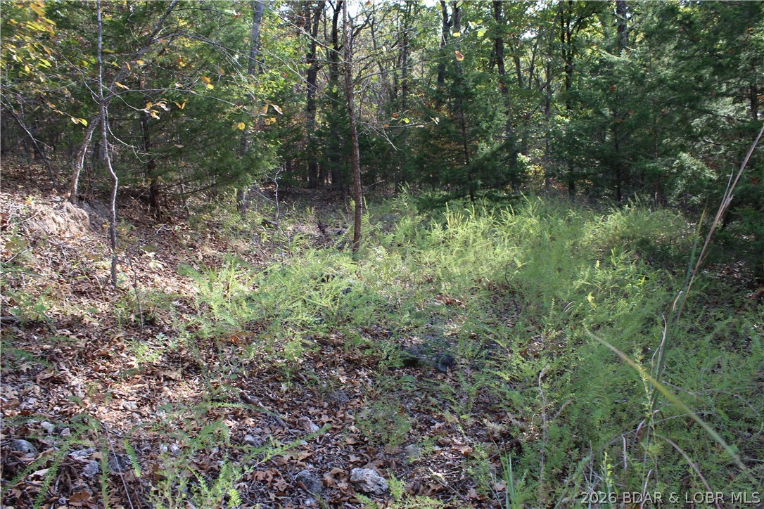 Photo 26