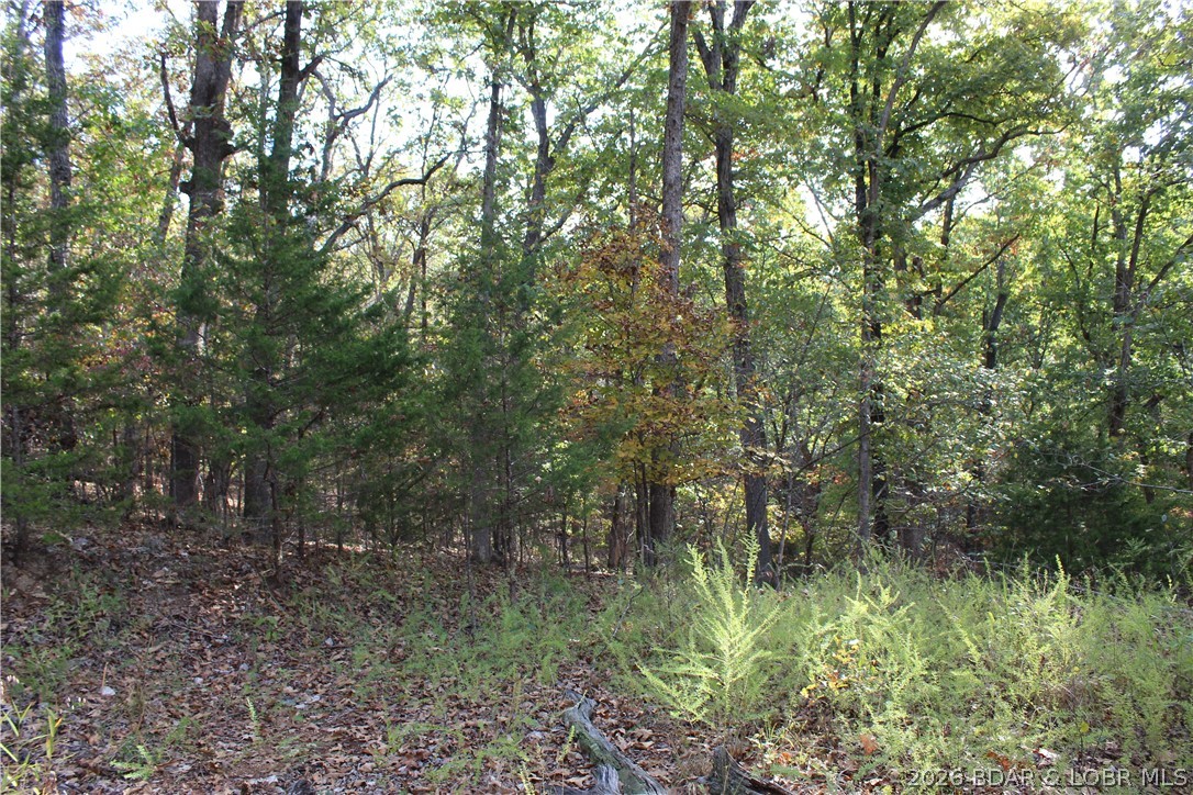 Photo 31