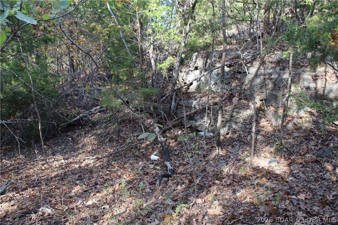 Photo 32