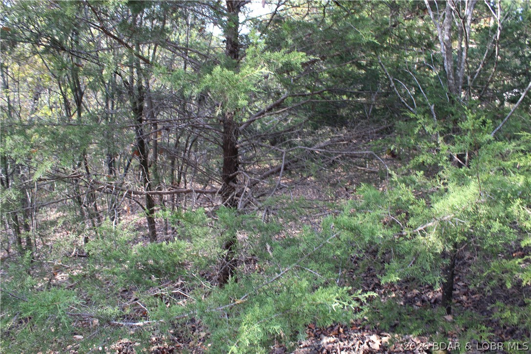 Photo 38