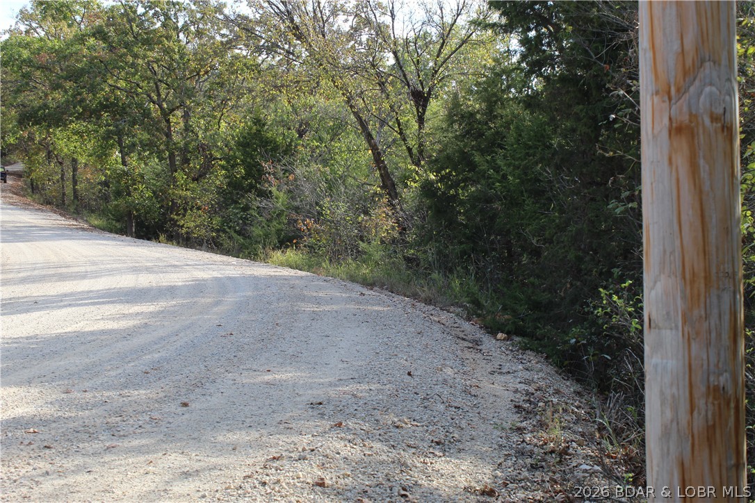 Photo 41