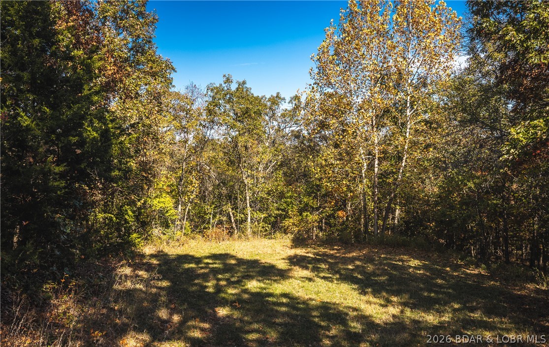 TBD Monieson Drive Edwards Missouri home for sale listed at $15,000