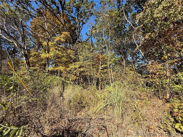 Front exterior — Lots 19 & 20 Walnut Hills Rd Stover Missouri real estate