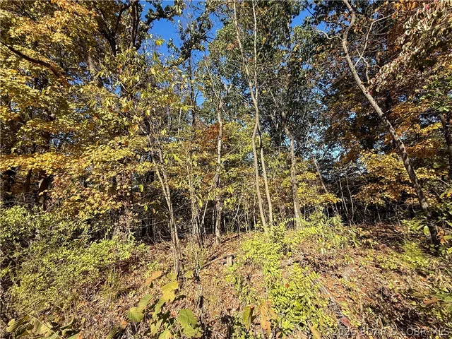 Kitchen — Lots 19 & 20 Walnut Hills Rd Stover Missouri real estate