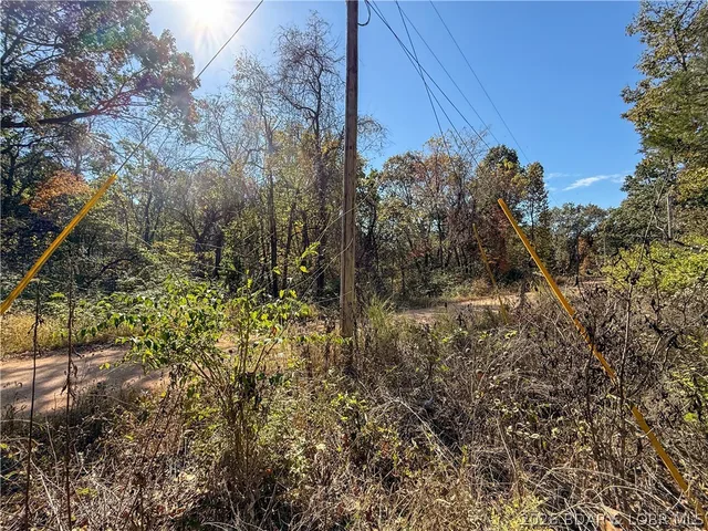 Primary bedroom — Lots 19 & 20 Walnut Hills Rd Stover Missouri real estate