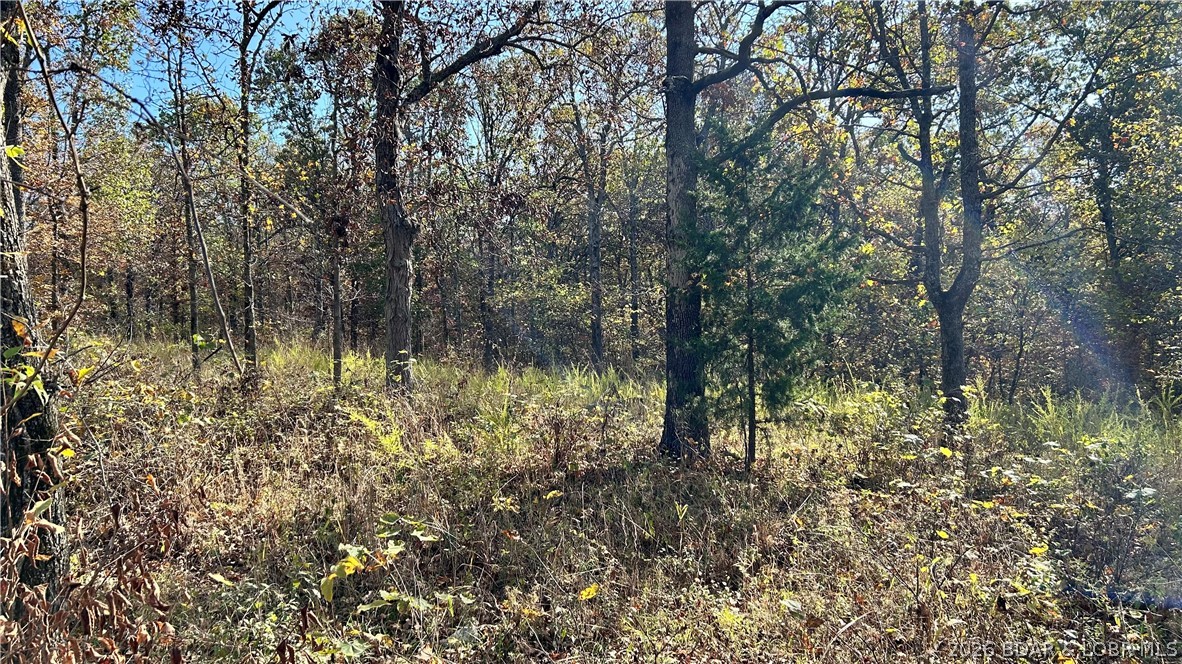 Ozark Trail Road Lincoln Missouri home for sale listed at $19,950
