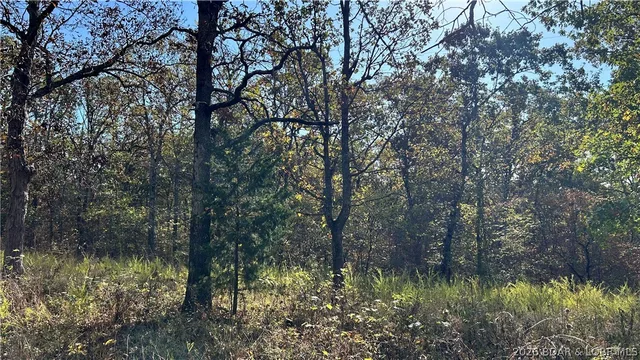Front exterior — Ozark Trail Road Lincoln Missouri real estate