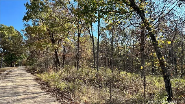 Primary bedroom — Ozark Trail Road Lincoln Missouri real estate