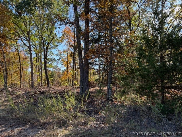 Tract No. 21 11.91 A Whitetail Dream Lane Montreal Missouri home for sale listed at $50,000