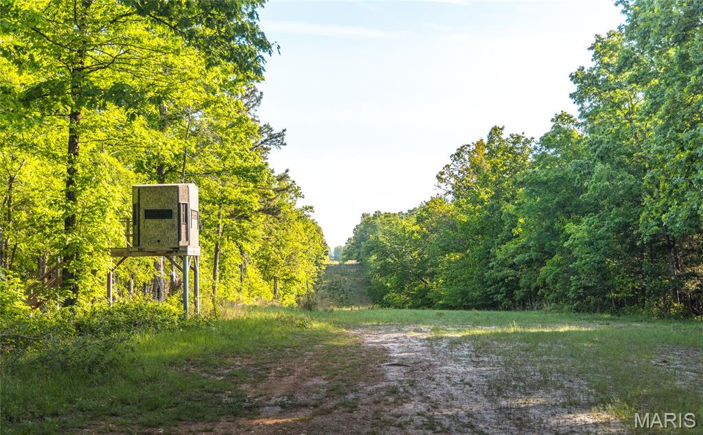 Photo 72