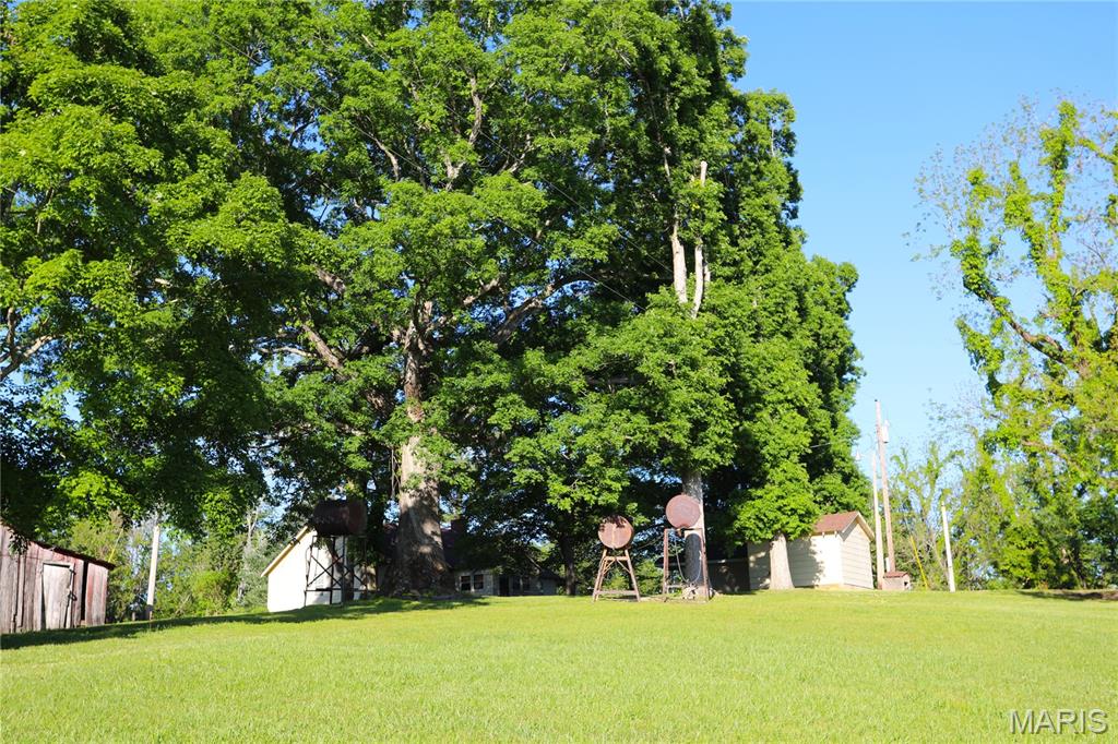 Photo 40