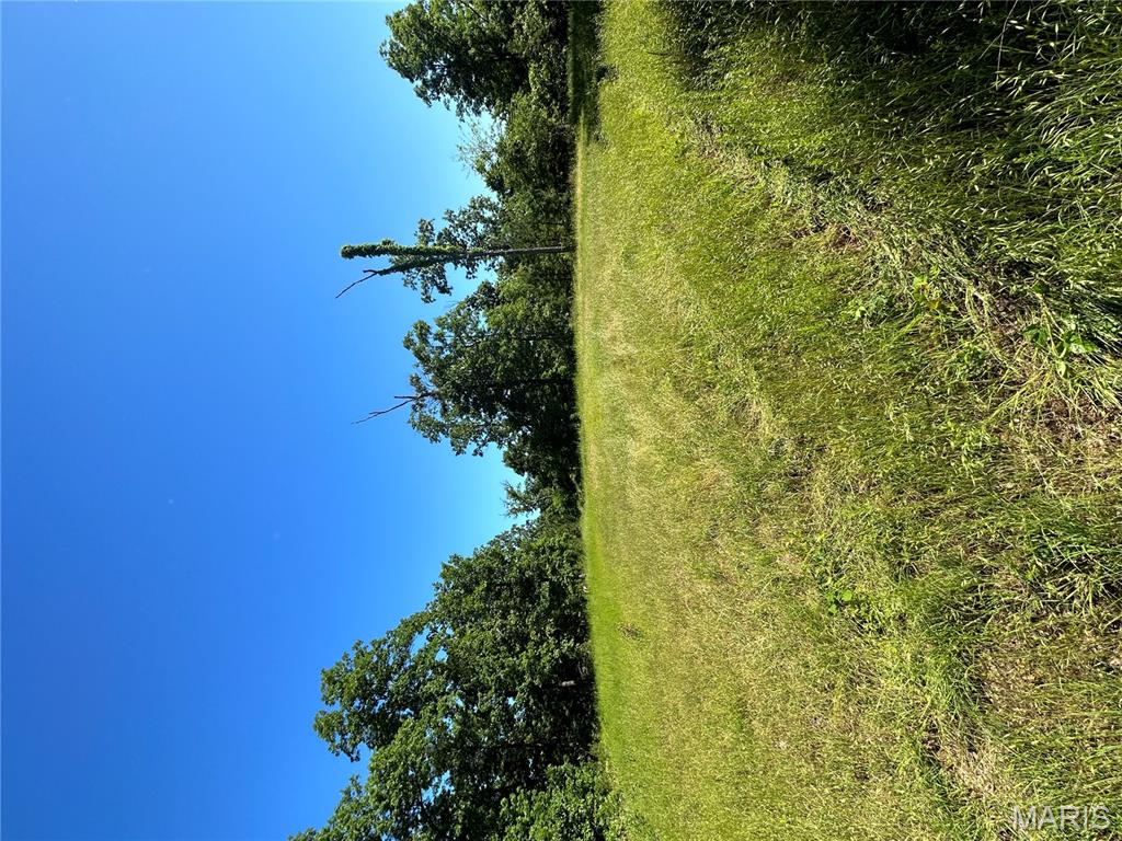 Photo 51