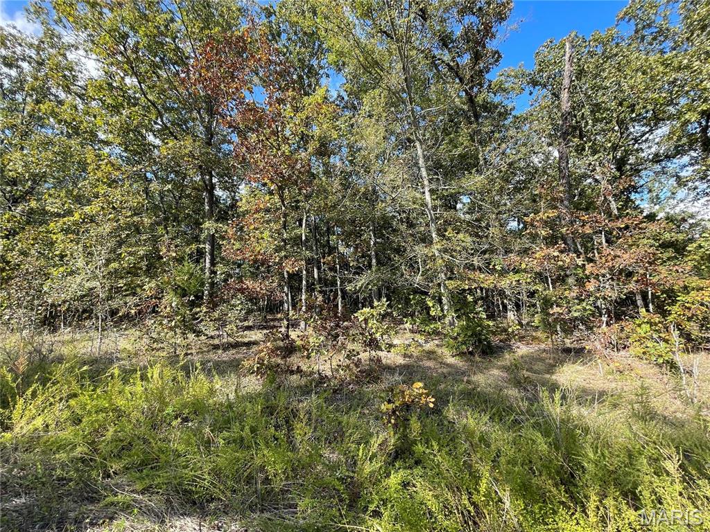 9 Woodland Heights, Poplar Bluff MO