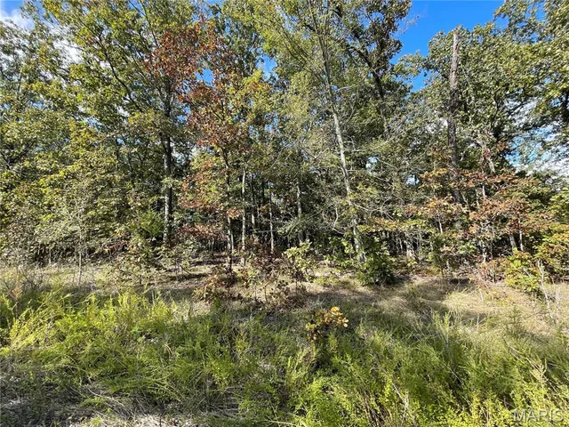 9 Woodland Heights, Poplar Bluff MO