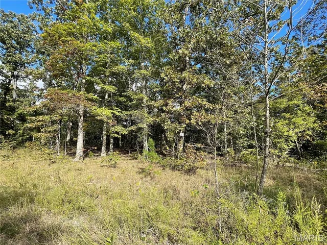 10 Woodland Heights, Poplar Bluff MO