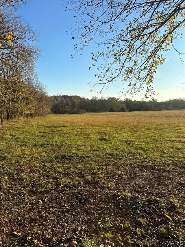 Front exterior — ... Choctaw Road Fordland Missouri real estate