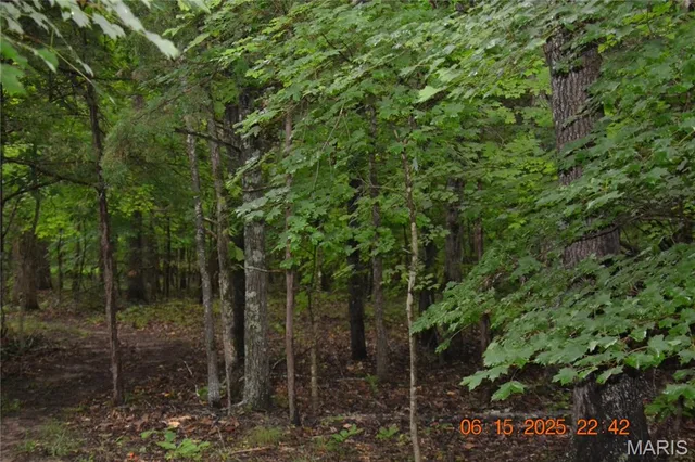 Primary bedroom — 0 Old Cadet Rd Bonne Terre Missouri real estate