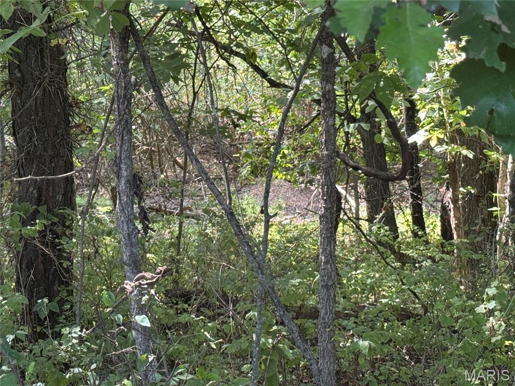 Photo 35