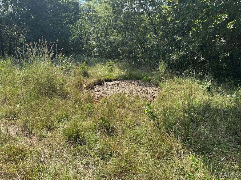 Photo 39