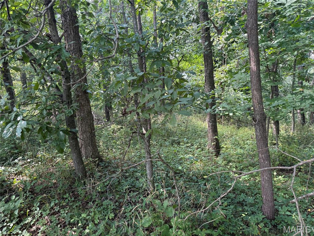 Photo 48