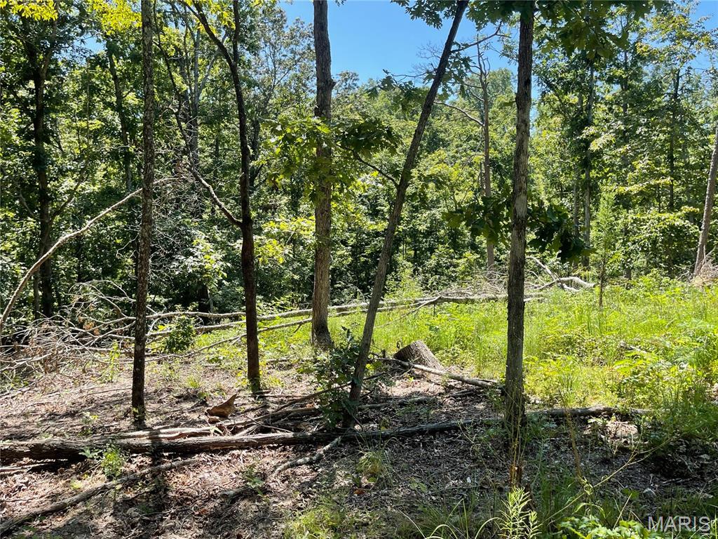 000 County Road 457 Ellsinore Missouri home for sale listed at $268,000