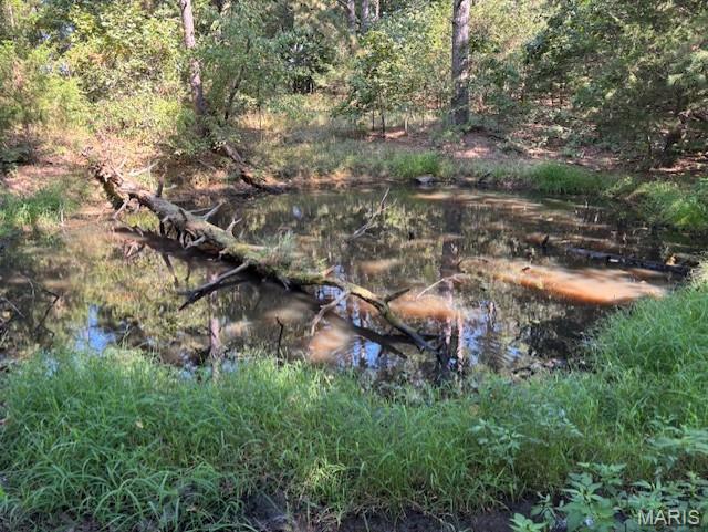 Primary bedroom — 1 off Bollinger County 908 Unincorporated Missouri real estate