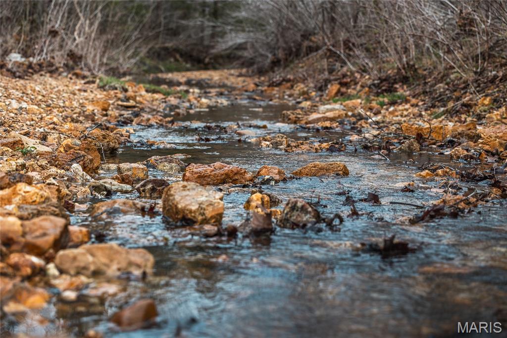 Photo 55