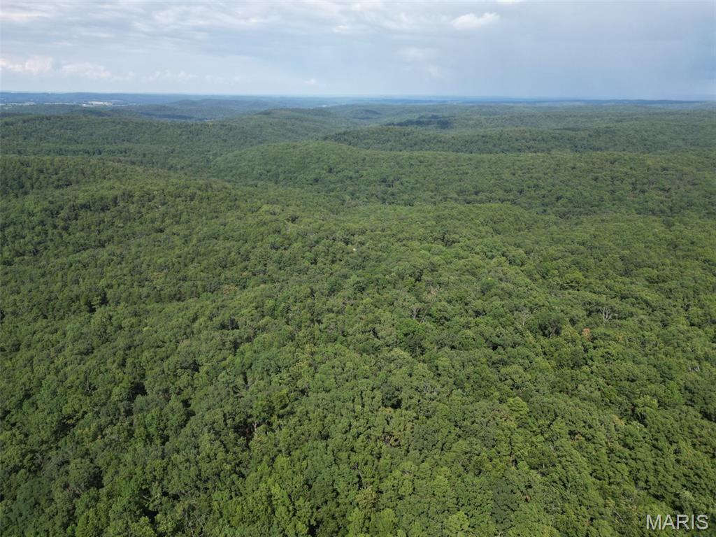 0 Bidwell Creek Road, Farmington MO
