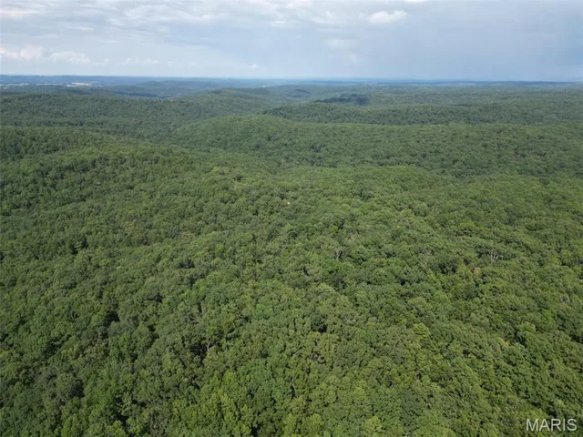 0 Bidwell Creek Road, Farmington MO