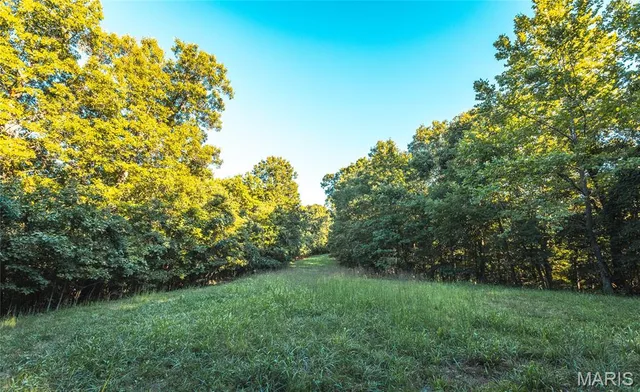 Primary bedroom — 24418 Golden Beach Rd Eldon Missouri real estate