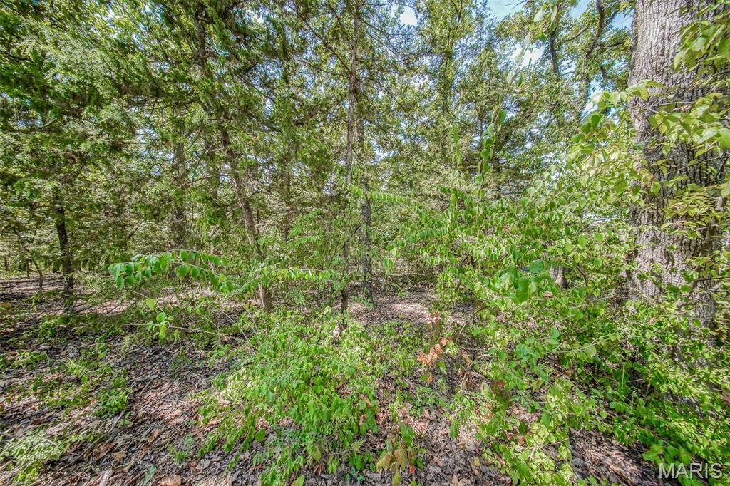 0 Faust Court, Rolla MO