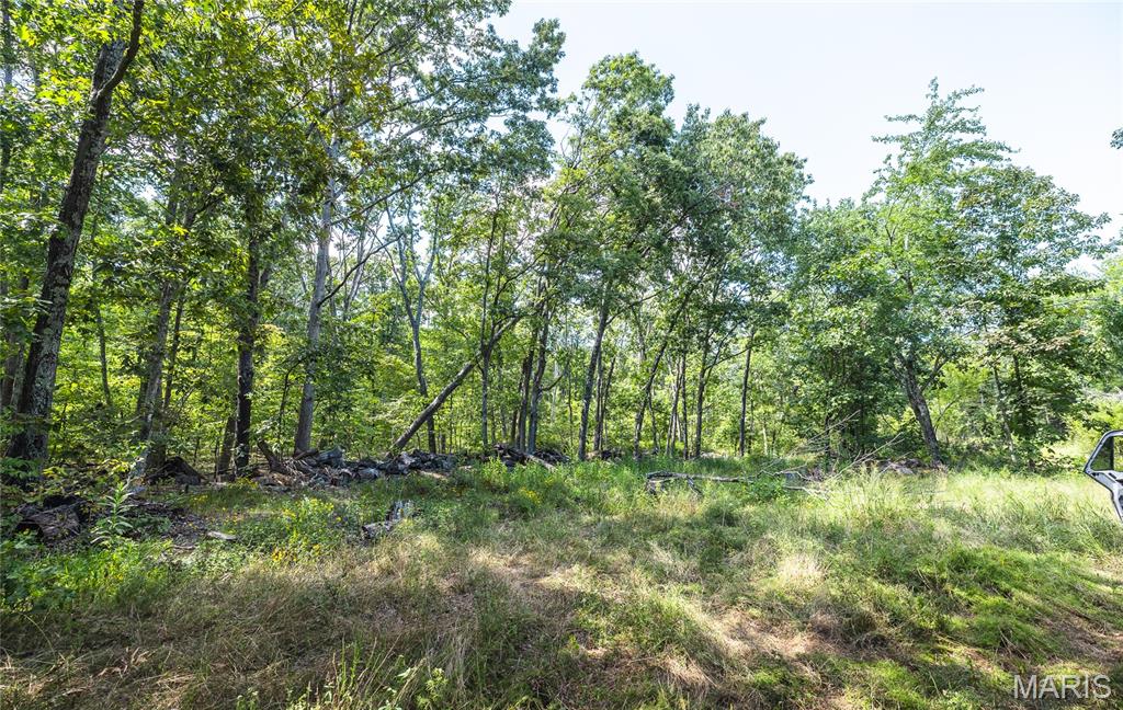 Photo 42