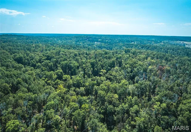 Living room — TBD Ashley Creek Road-Tract 2 Unincorporated Missouri real estate