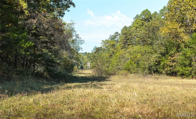 Kitchen — TBD Ashley Creek Road-Tract 2 Unincorporated Missouri real estate