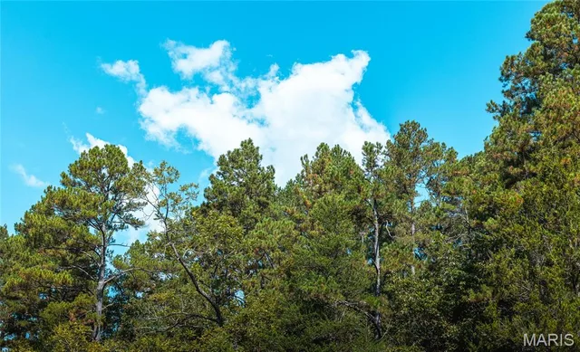 Primary bedroom — TBD Ashley Creek Road-Tract 2 Unincorporated Missouri real estate