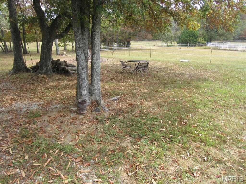 Photo 38