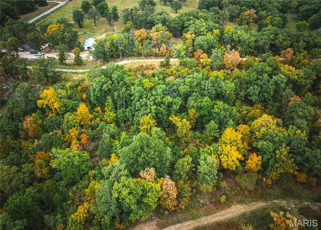 1 Firehouse Drive, Waynesville MO real estate