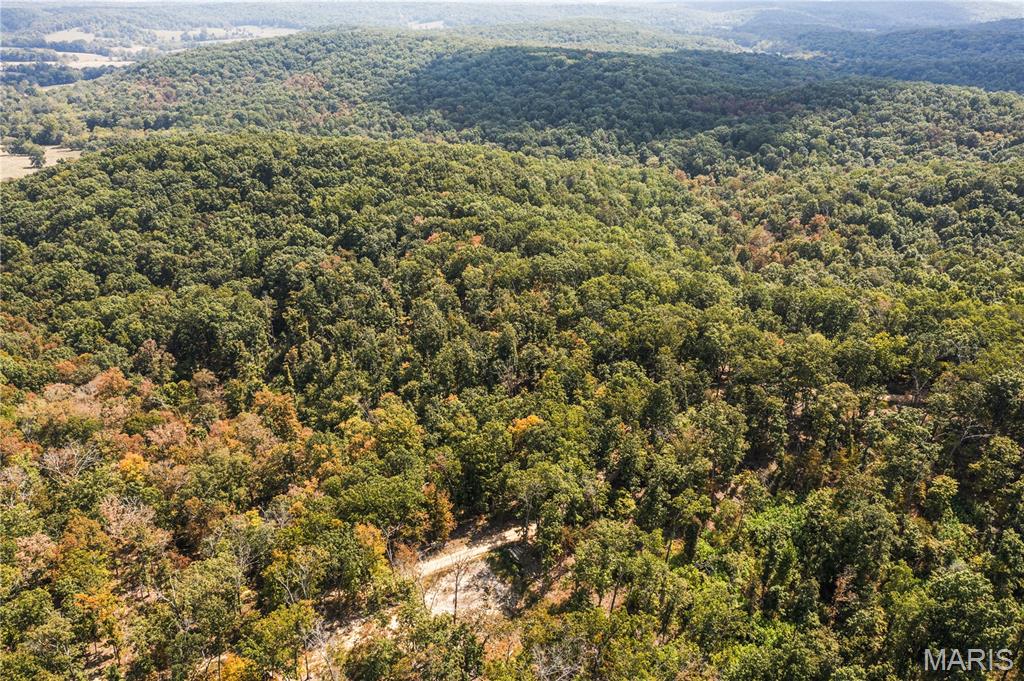 0 Bcr 300 Marble Hill Missouri home for sale listed at $235,000