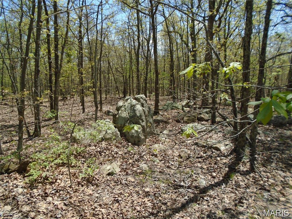 0 Whitetail Glen Trail Ironton Missouri home for sale listed at $133,500