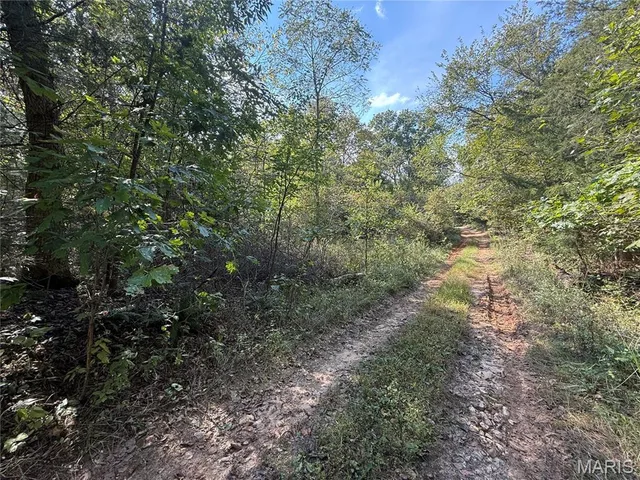 19450 Private Drive 6536, Beulah MO