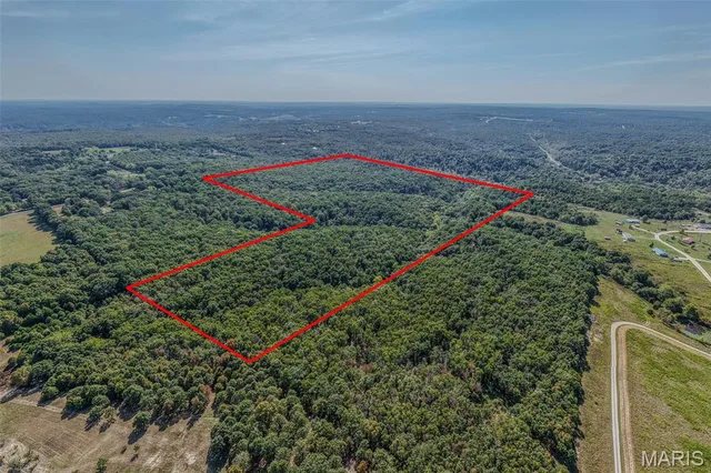 123 Rascal Drive, Waynesville MO real estate