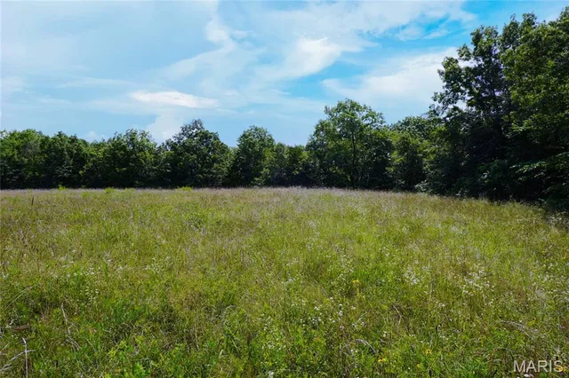 53 Acres Chad Lane, Rhineland MO real estate
