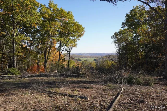 Living room — 20 Acres Hwy P Rhineland Missouri real estate