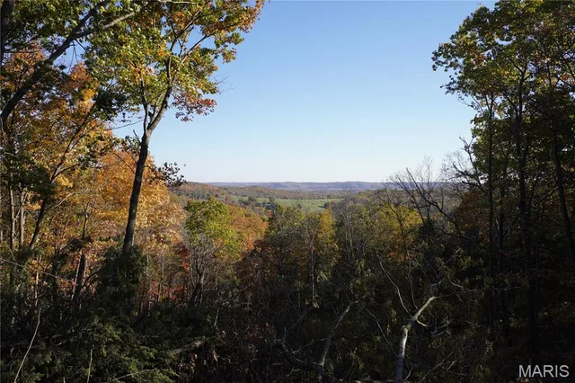 Kitchen — 20 Acres Hwy P Rhineland Missouri real estate