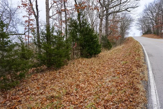 Front exterior — Tract B State Route Y Dixon Missouri real estate