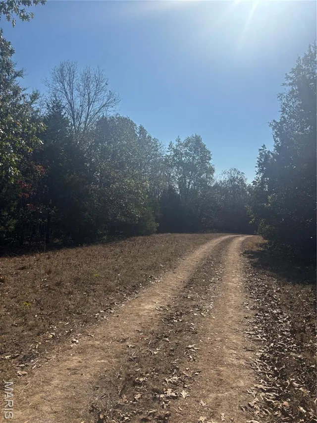 Primary bedroom — 1 Mo-72 Fredericktown Missouri real estate